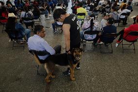 Canine And Feline Rabies Vaccination Day In Mexico