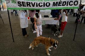 Canine And Feline Rabies Vaccination Day In Mexico