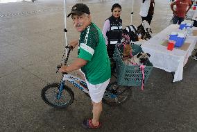 Canine And Feline Rabies Vaccination Day In Mexico