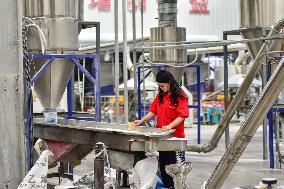 China Manufacturing Industry