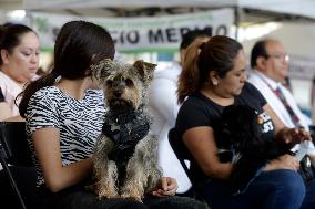 Anti-Rabies Campaign Begins In Mexico City