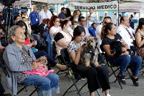 Anti-Rabies Campaign Begins In Mexico City