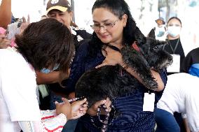 Anti-Rabies Campaign Begins In Mexico City