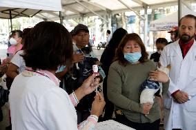 Anti-Rabies Campaign Begins In Mexico City