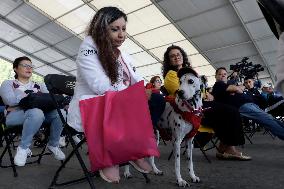 Anti-Rabies Campaign Begins In Mexico City