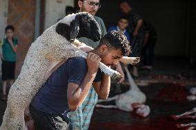 Eid Al-Adha In Gaza, Palestine