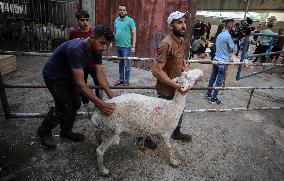 Eid Al-Adha In Gaza, Palestine