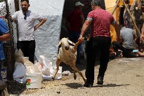 TÜRKIYE-ANKARA-EID AL-ADHA