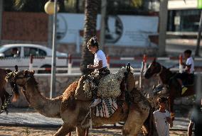 Eid Al-Adha In Gaza, Palestine