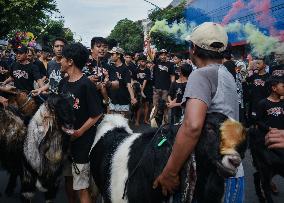 Eid Ad-Adha Livestocks Parade In Indonesia