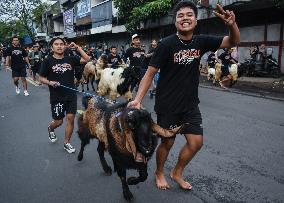 Eid Ad-Adha Livestocks Parade In Indonesia