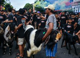 Eid Ad-Adha Livestocks Parade In Indonesia