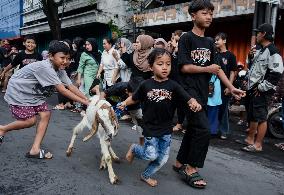 Eid Ad-Adha Livestocks Parade In Indonesia