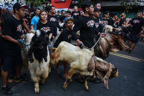 Eid Ad-Adha Livestocks Parade In Indonesia