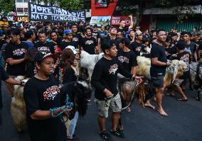 Eid Ad-Adha Livestocks Parade In Indonesia