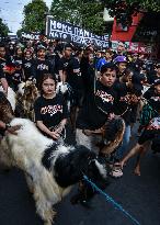 Eid Ad-Adha Livestocks Parade In Indonesia