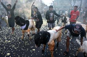 Eid Ad-Adha Livestocks Parade In Indonesia