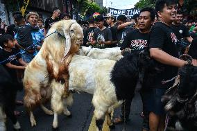 Eid Ad-Adha Livestocks Parade In Indonesia