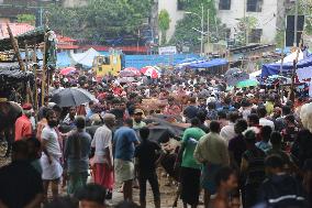 Sacrificial Animals Sale - Dhaka