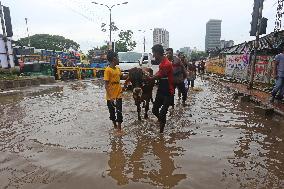 Sacrificial Animals Sale - Dhaka