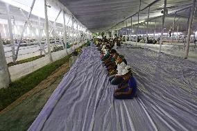 Muslims Perform Eid al-Adha Prayer - Dhaka