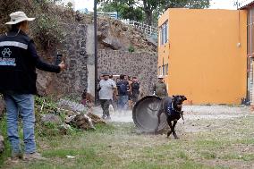 Training Dogs To Rescue Natural Disasters - Mexico