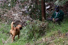 Training Dogs To Rescue Natural Disasters - Mexico