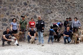 Training Dogs To Rescue Natural Disasters - Mexico