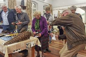 NAMIBIA-WINDHOEK-PANGOLINS-PROTECTIN