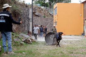 Tlalpan Mayor Trains Dogs To Rescue Natural Disasters In Mexico