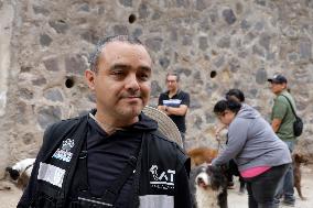 Tlalpan Mayor Trains Dogs To Rescue Natural Disasters In Mexico