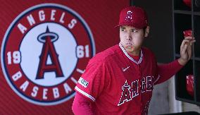 Baseball: White Sox vs. Angels