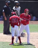 Baseball: White Sox vs. Angels