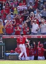 Baseball: White Sox vs. Angels