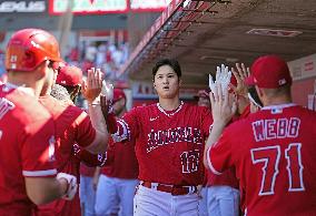 Baseball: White Sox vs. Angels