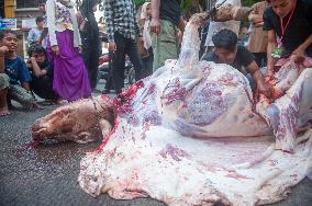 Eid Al-Adha Celebration - Sumatra