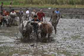 NEPAL-NUWAKOT-NATIONAL PADDY DAY