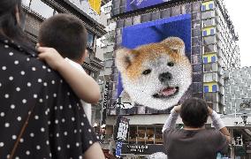 3-D ad board in Osaka