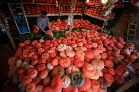 LEBANON-AGRICULTURE-HARVEST