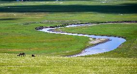 CHINA-INNER MONGOLIA-MERGEL GOL RIVER-SCENERY (CN)