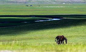 CHINA-INNER MONGOLIA-MERGEL GOL RIVER-SCENERY (CN)