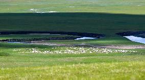CHINA-INNER MONGOLIA-MERGEL GOL RIVER-SCENERY (CN)