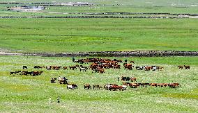 CHINA-INNER MONGOLIA-HULUN BUIR-CULTURE & TOURISM FESTIVAL (CN)