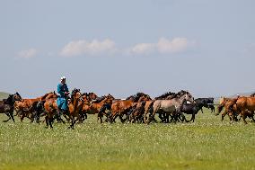 CHINA-INNER MONGOLIA-HULUN BUIR-CULTURE & TOURISM FESTIVAL (CN)