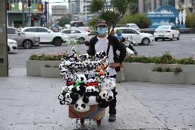 China Chengdu Panda