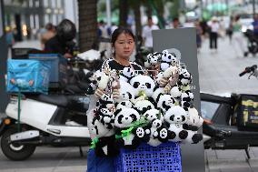 China Chengdu Panda