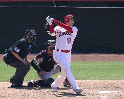 Baseball: Diamondbacks vs. Angels