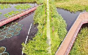 Yingtai Ecological Security Buffer Zone in Haian