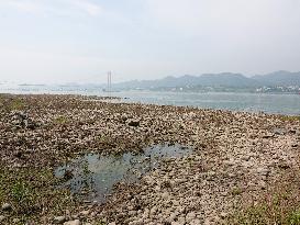 Yangtze River Water Level Falls