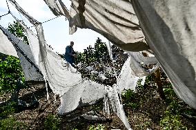 Aftermath of night shelling of Kushugum village in Zaporizhzhia by Russian army